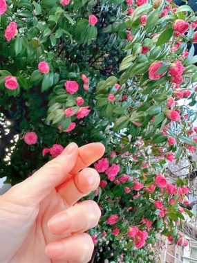 『たまりません…///』