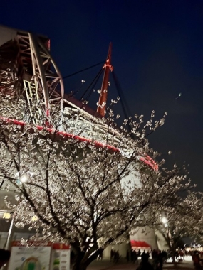 『豊田スタジアムにて…///』