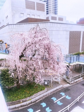 日中からエステでデトックスをそんな贅沢な一時をお手伝い致します