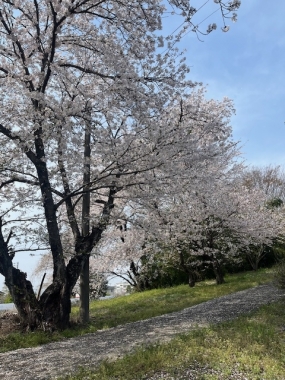 めぐみです。お礼