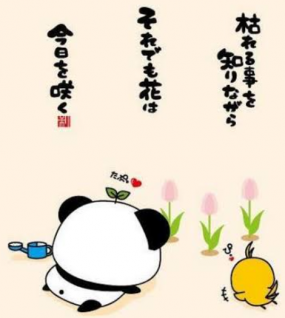 ありがとうございました☆