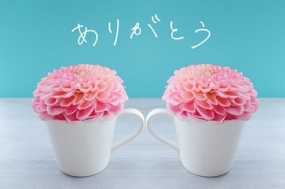 お礼♪あまね