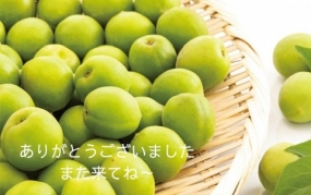 28日のお礼です なぎさ