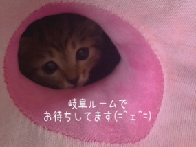 いこいです