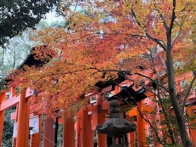 みやこ出勤しました^_^