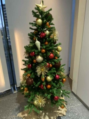 お礼と出勤予定さくら♪