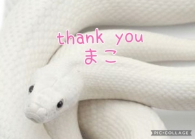 まこ☆お礼と出勤予定