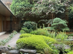 こんにちは　ふぶきです。