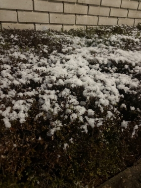 冷えてますねー