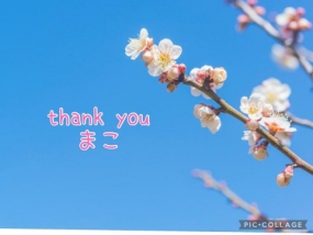 まこ☆お礼と出勤予定