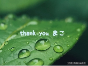 まこ☆お礼と出勤予定