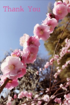 ちなみ 27日のお礼♪