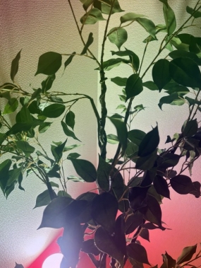 みやこ出勤です3/3