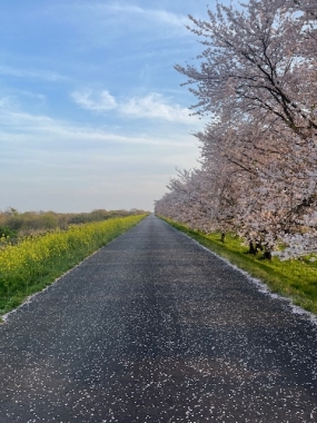 めぐみです。お礼