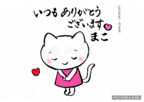 まこ☆お礼と出勤予定