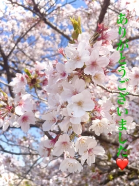 ちなみ 27日のお礼♪