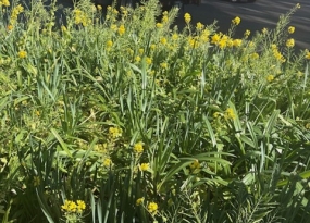 いい日になりますように！