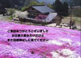 7日のお礼です なぎさ