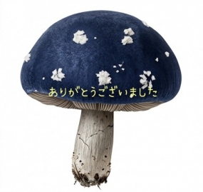 ありがとうございました☆