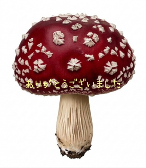 ありがとうございました☆(25日お礼)