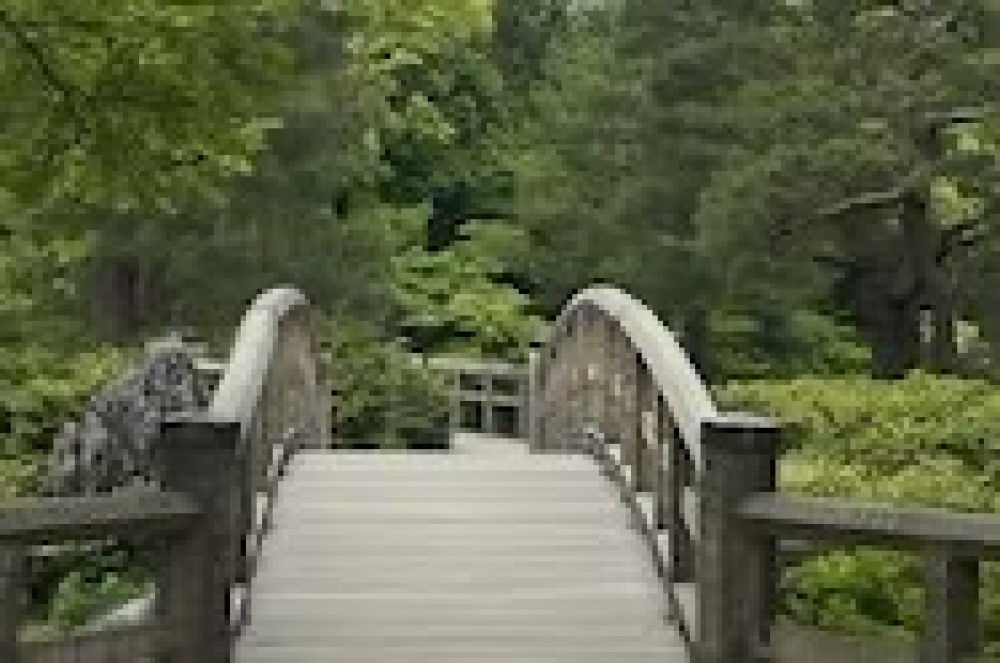 image0.jpeg