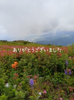 お礼(15日)