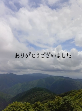 お礼(25日、26日、28日)