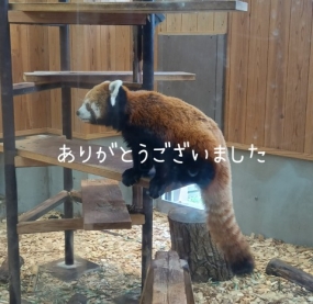ありがとうございました☆(7日お礼)