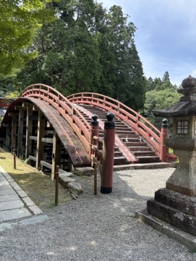 あみ　7日お礼です