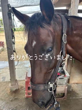 ありがとうございました☆