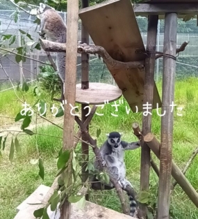 ありがとうございました(10日お礼)
