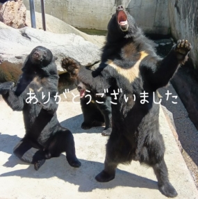 ありがとうございました☆(11日お礼)