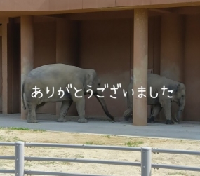 ありがとうございました☆(14日お礼)
