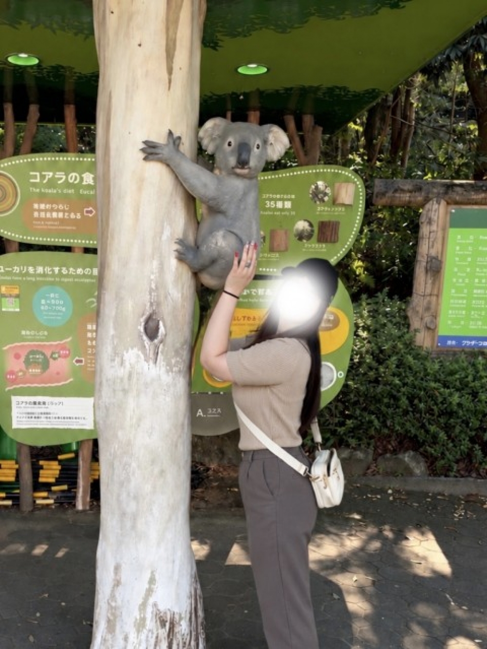 image1.jpeg